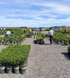 Challenges were special to the week-long event. These mini workshops allowed visitors to get first-hand training from Monrovia's own horticultural experts.