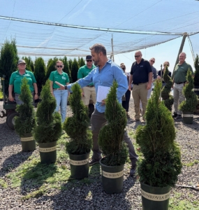 This is a topiary training challenge. Topiary is the practice of training perennial plants by clipping the foliage and twigs of trees, shrubs, and subshrubs to develop and maintain specific shapes. The term also refers to plants which have been shaped in this way.