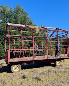The bales get thrown into this wagon, which holds about 150 bales. Two outdoor grounds crew members ride in here and work together to grab the bales and stack them. Everyone is ready to go!