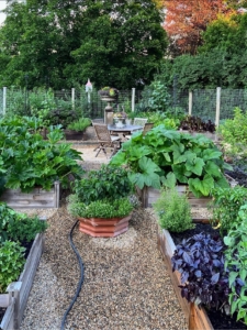 Anthony calls his garden his "happy place." Please follow both Anthony @anthonypicozzi and Jeremy @jeremy.lambertson on Instagram and see other projects, dishes and ideas they've put to use.