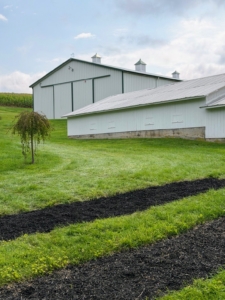 Brian Utz shared these next photos. Brian hosts a weekly podcast show about food, gardening, crafts, decorating, entertaining, and other homemaking topics, and shares posts of his work and lifestyle on Instagram at @morbidhomemaker. Here at his home, 40 foot long peony rows were newly dug and mulched.