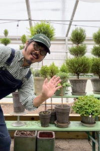 Here's Bernie in his greenhouse with his beautiful potted topiaries. Please follow Bernie on Instagram @berniewonggreen.
