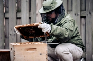 There is a more utilitarian area in his backyard with bees, chickens, a vegetable garden and of course, a compost area - all inspired by my farm and projects I've talked about or shown on TV.