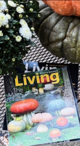 Jeremy says my magazine, Martha Stewart Living, keeps inspiring him year after year.