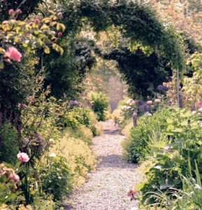 Jordan is also an avid photographer. He attended my special "Super Fans" day at my farm last year. This photo was taken in my flower cutting garden on a 35mm film using a Nikon FX.