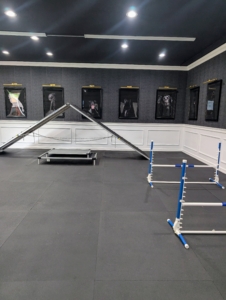 Every room is clean and climate-controlled. The main exercise room of Delighted Pets is decorated with a gallery of dog portraits. The floor is padded for safety and there is a variety of agility equipment for indoor enrichment and training.