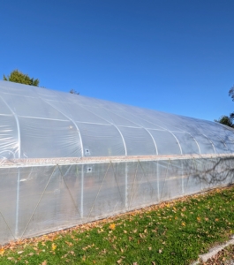 The hoop house structures are all made from steel frames and polyethylene panels. Inside, the temperature and humidity levels are closely monitored and can be adjusted as necessary. They all have manual roll-up curtains on both sides for ventilation purposes on milder days.