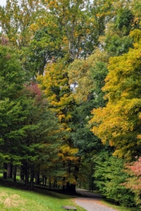 Early Colors of Fall at My Farm Early Colors of Fall at My Farm