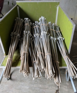 Instead of rings that are available at many garden centers, each of these metal supports has two eyes, one at the top and one in the middle. The stakes are about three feet tall. These stakes will be stored until the peonies begin growing again next spring.