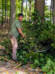 Pasang Sherpa is my resident tree pruner. He does a wonderful job overseeing the maintenance of all the trees here at my farm. As he picks up branches, he also trims those that are broken or in need of removal.