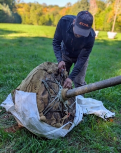 Pasang begins to remove the protective plastic from the root ball of the tree. The materials hold together the root ball so that chunks of heavy soil do not fall out or tear roots. The wrapping protects the roots from dehydration and sunburn and allows trees to be safely moved.