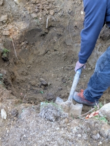 The sides should also be at a slight angle to help the roots get properly established.