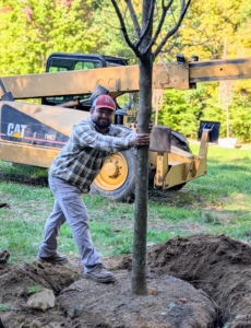 The crew looks at the tree from all angles to make sure it is straight and secure in its place. Jimmy stands by to help make any slight adjustments.