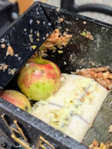 Each apple is dropped onto the rotating drum. The embedded teeth grind up the apples as they are placed into the chamber.