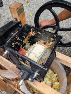 Looking closely, one can see the small blades – they are very sharp. As the wheel is turned, the apples are pressed into the teeth and cut into small pieces.