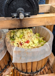 The tub where the apples fall after going through the grinder is called the hopper. The hopper catches the apple pulp while another tub is used for pressing.
