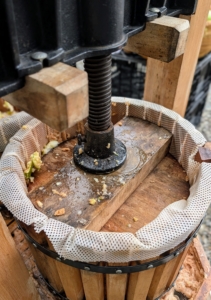 The screw pushes down on this press plate that is placed on top of the chopped apples. The pressing disk is made of maple wood.