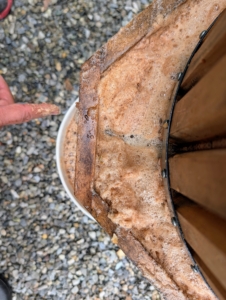 As the apples are compressed, the juice flows out of the sides, through a downspout, and into a collection vessel below.