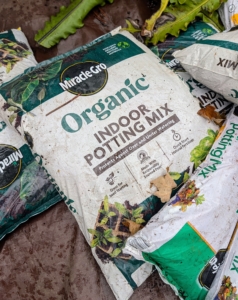 For all the indoor potting needs, we use Miracle-Gro potting mix, which combines natural, nutrient-rich ingredients with the right balance of moisture retention, aeration, and drainage.