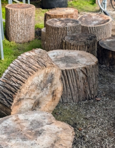 I repurpose stumps from downed trees to use as risers for some of the potted plants or for the legs of tables. It’s important to make use of both horizontal and vertical space when storing.