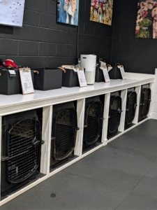 An adjacent kennel room has individual crates for quiet time and naps. Owner notes and personal food, treats, and supplies are kept near each crate.
