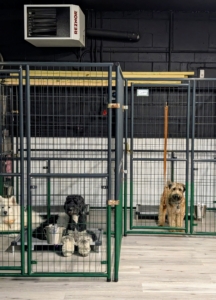 Larger pens are used for bigger dogs or family multiples.