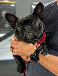 Training is hard work for a dog. It’s not just about following commands, it’s about learning new communication, controlling impulses, and adapting to certain human expectations. It was a log day, but Half Moon is doing wonderfully!