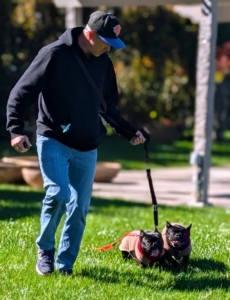 Next, Sal puts Luna Muna on a lead to see how she heels and whether Half Moon follows - it goes very well.