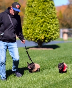 A mother dog can model good behavior if she is already trained, but a puppy still needs independent socialization and human-led training for healthy development.