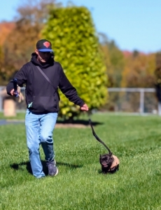Sal quickens his speed, so the dogs are more attentive and focused, keeping the training fun.