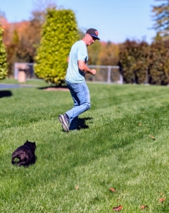 When training is fun, dogs are more motivated, engaged, and willing to learn — making it a form of enrichment rather than a chore.
