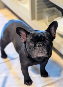 Half Moon In Training – The Martha Stewart Blog Half Moon In Training – The Martha Stewart Blog