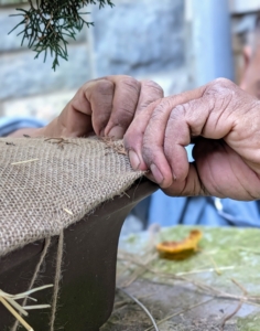 While sewing, he also tucks in the ends, so they are neat, tidy and snug around the pot.