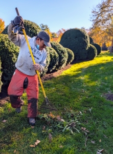 Phurba rakes debris as he works. It's a team effort to get the jobs done.