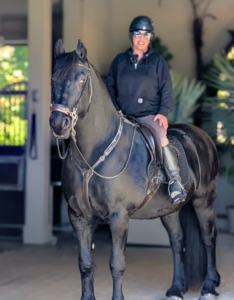 And no matter what the season, the horses are always well exercised. Helen rides them every day around the farm. Here's Bond heading out into the autumn sunshine. Good luck with all your fall chores - the cold weather is on its way!