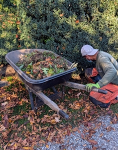 In another section, weeds are being pulled from the beds.