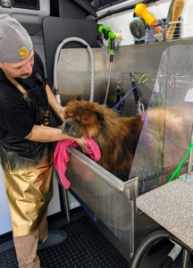 After the shampoo, conditioner, and thorough rinse, Jonathan hand dries Han as much as possible in the tub. Dog-specific tubs are designed with built‑in restraints and proper matting to prevent dogs from slipping or jumping out. The raised walls also limit water splashes and make cleanup easier.