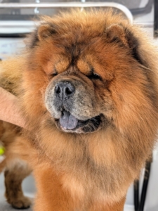 Han looks so handsome after his spa treatment.