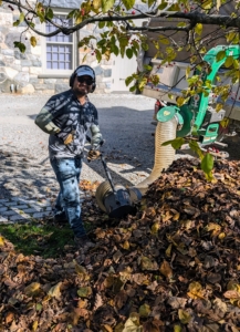 Jimmy helps by collecting the blown leaves with our industrial leaf vacuum. The machine relies on a high‑powered engine and strong suction to pull leaves and debris through a hose and into the back of the dump truck. The leaves are then taken to the compost area, where they will decompose and get used again as mulch.