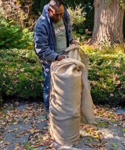 Behind my Summer House, Pete continues to cover ornamental urns and other objects with burlap to protect them from the winter elements. This is my sundial that is located in the formal sunken garden.