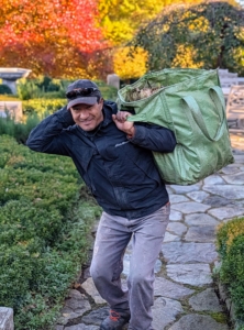 Pasang works in my terrace parterres, gathering and disposing leaves and other plant debris. He collects it in one of my giant Multi-Purpose Reusable Garden Totes. These bags can carry hundreds of pounds.