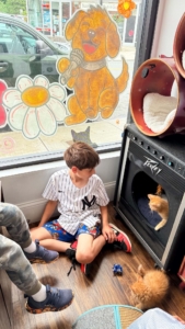 Children and their families who visited were able to spend time with prospective adoptees in enclosed and quiet rooms.