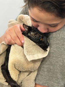 Crystal Pagan is the animal care coordinator and resident veterinary technician. She oversees the health, treatment, and daily management of the animals in rescue.
