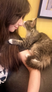Audrey Abell is Rock N' Rescue's adoption coordinator and cat room manager. She began as a volunteer and foster in 2025, and over time has cared for more than 100 cats through fostering. Here she is with one of the kittens at the event.