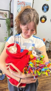Volunteer Ella helps keep the kittens comfortable and calm during the event.